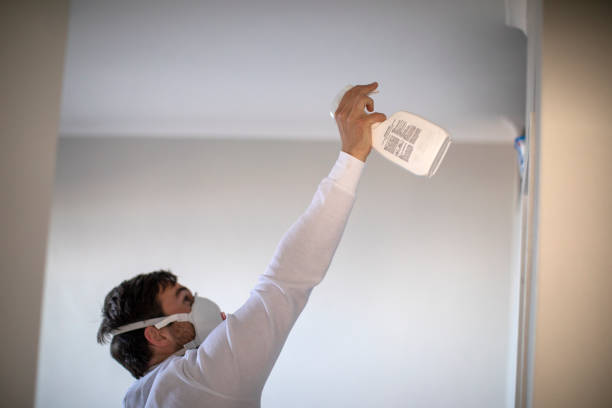 Best Preventive Mold Services in Tuscumbia, AL