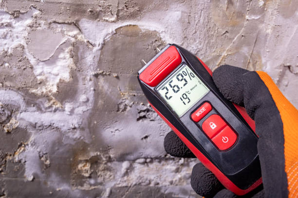 Best Post-Flood Mold Remediation in Tuscumbia, AL