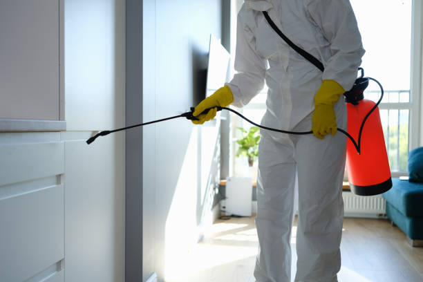 Best DIY Mold Remediation Support Services in Tuscumbia, AL